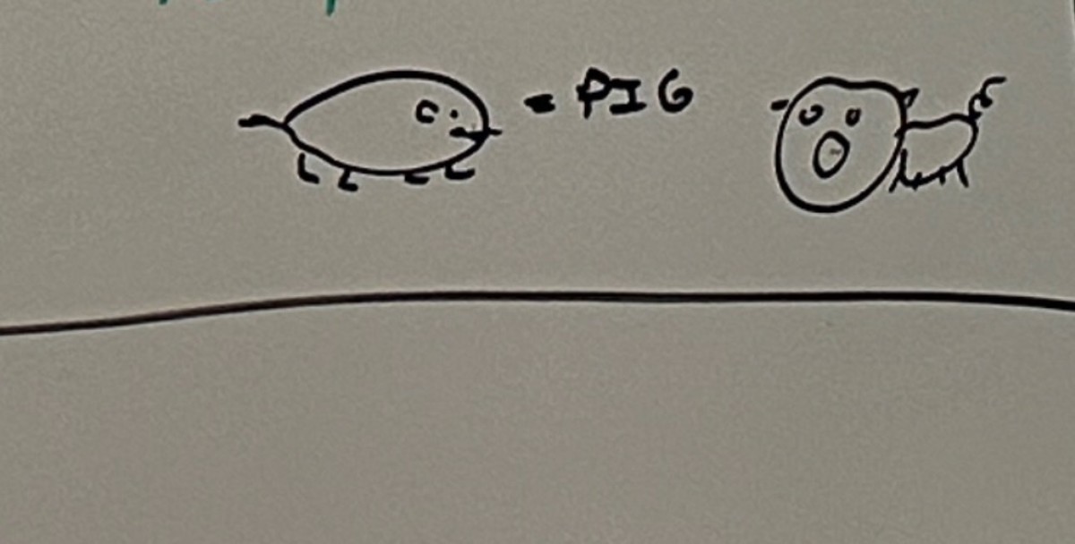 Bad doodles of pigs